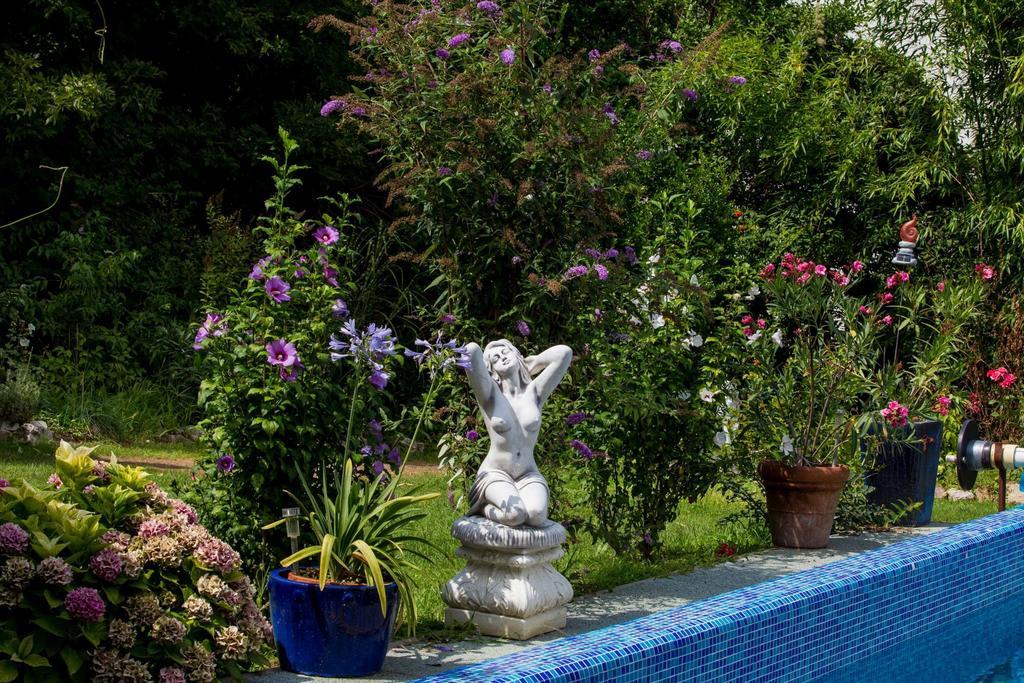 Villa Sonnenschein Hévíz 객실 사진